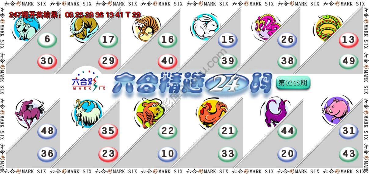六合精选24码