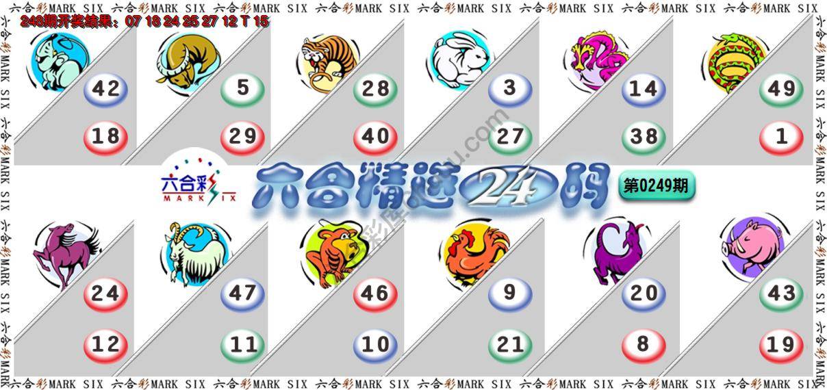 六合精选24码