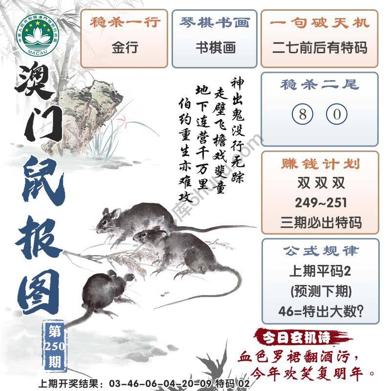 澳门鼠报图