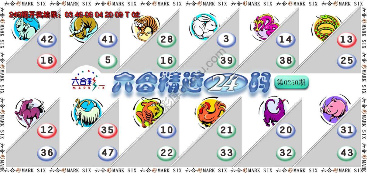 六合精选24码