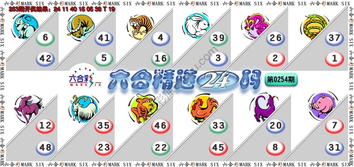 六合精选24码