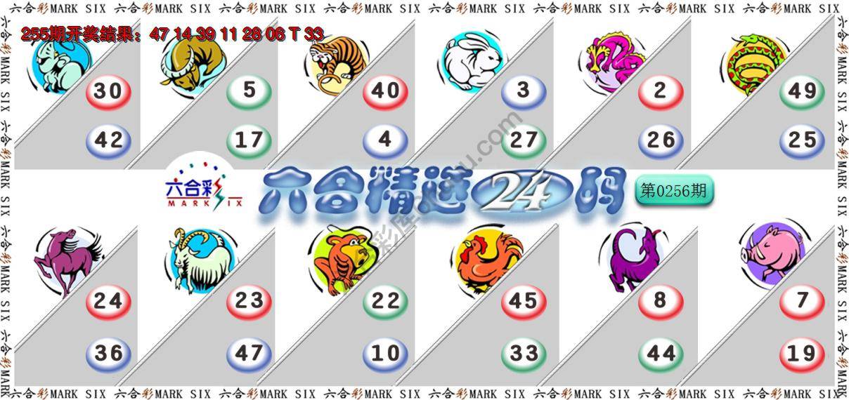六合精选24码