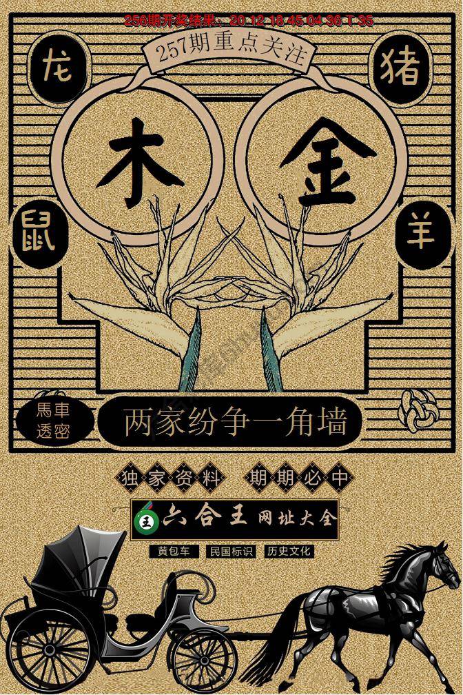 六合王马车透密