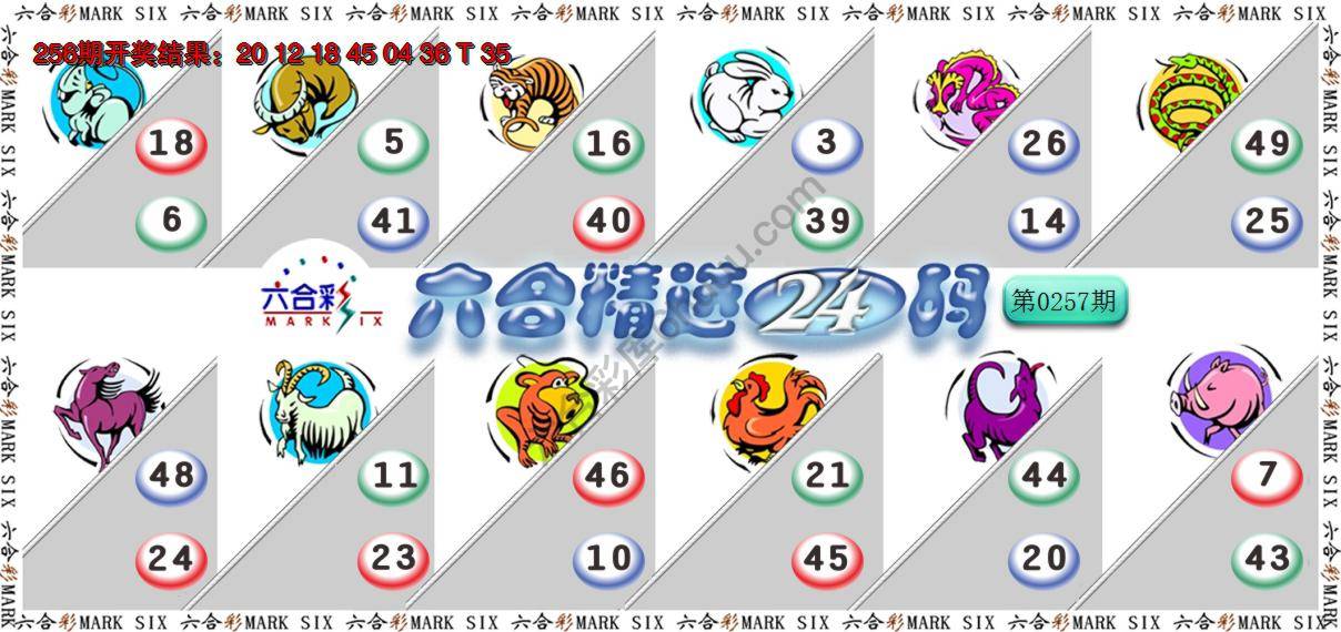 六合精选24码