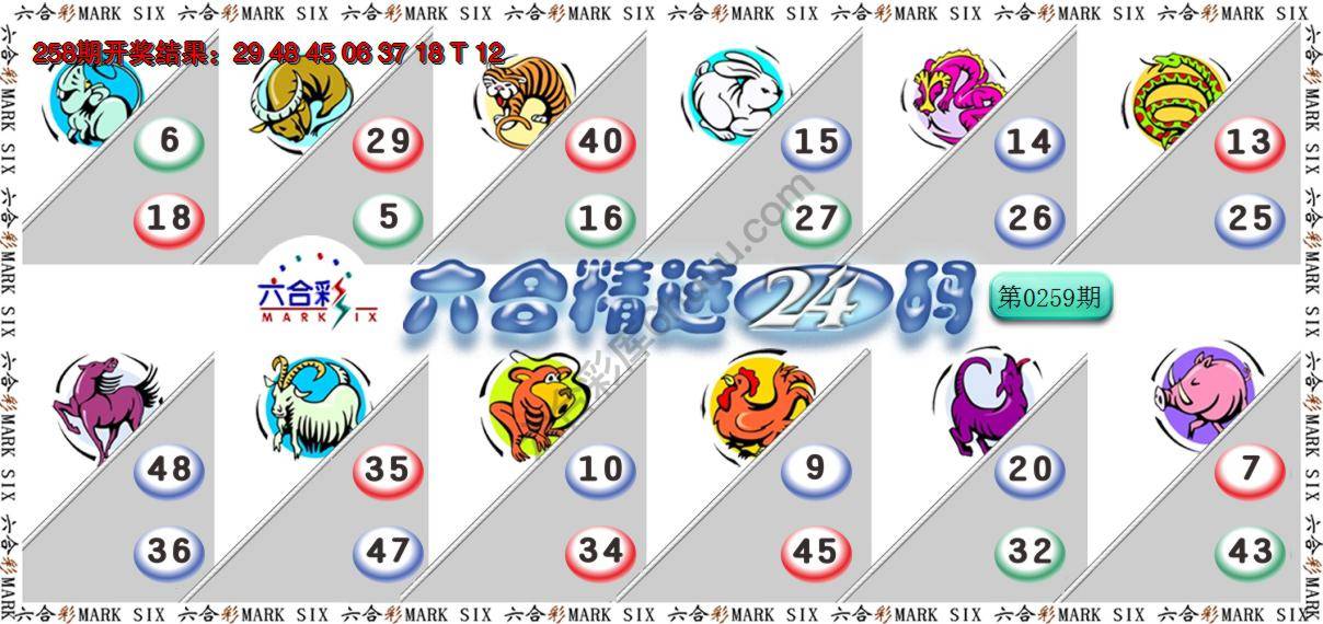 六合精选24码