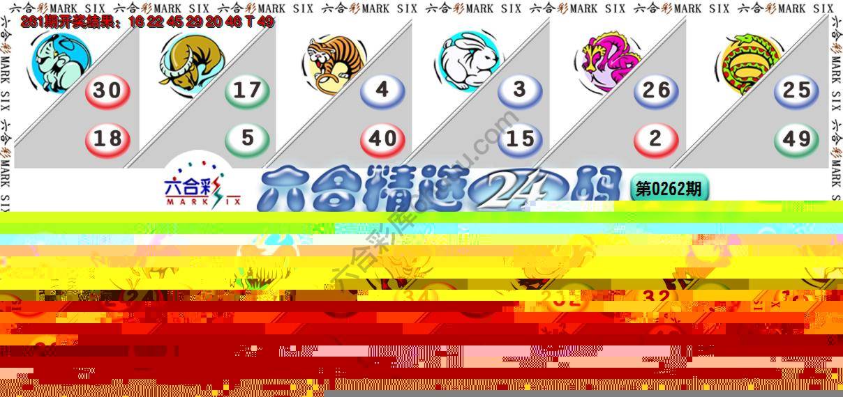 六合精选24码