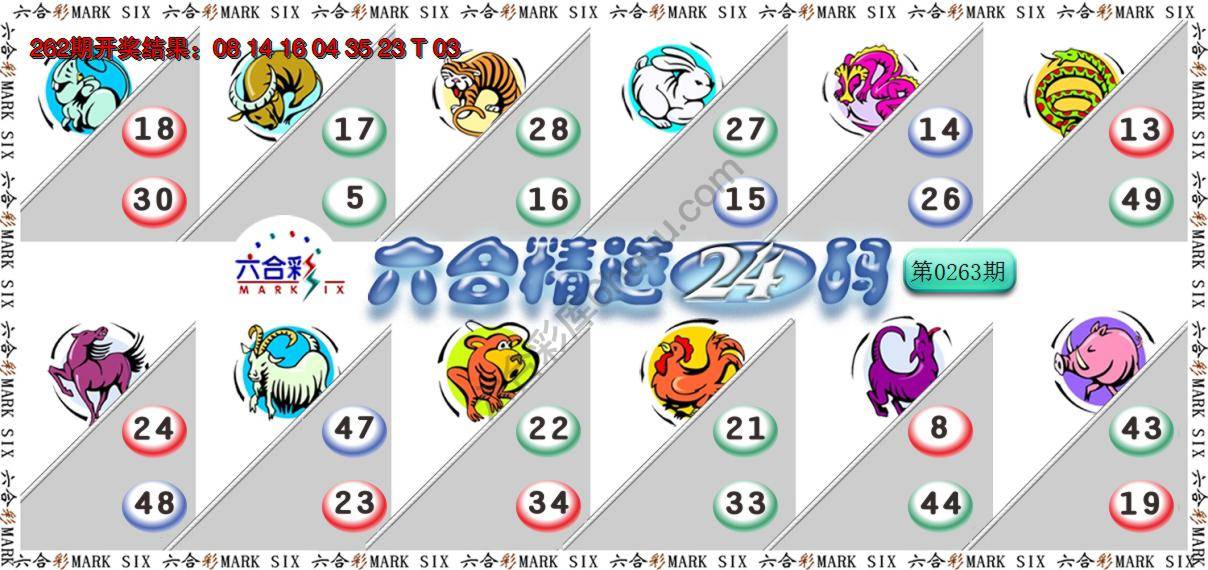 六合精选24码