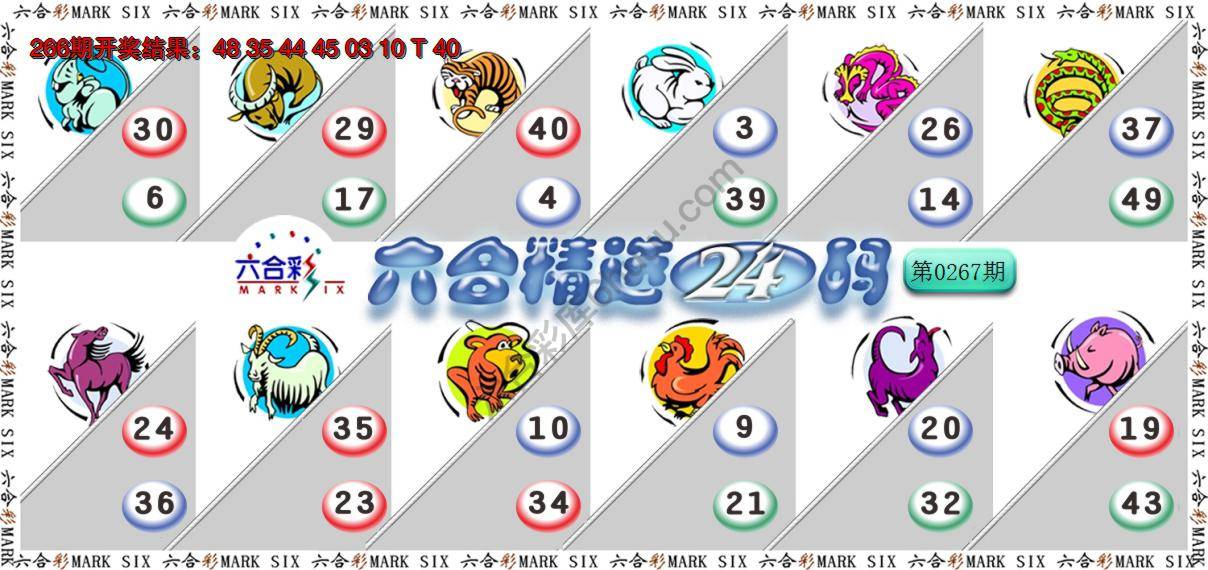 六合精选24码