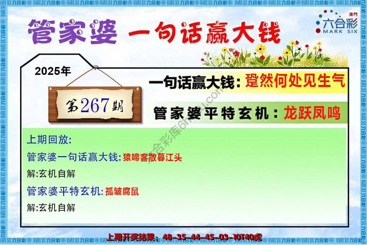 管家婆一句赢大钱