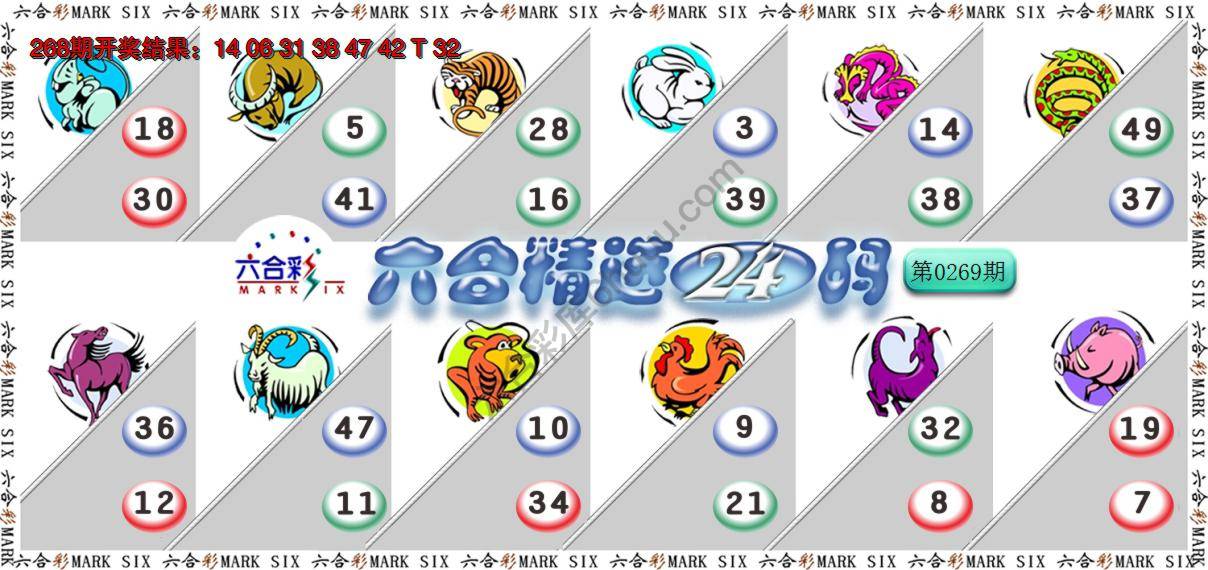六合精选24码