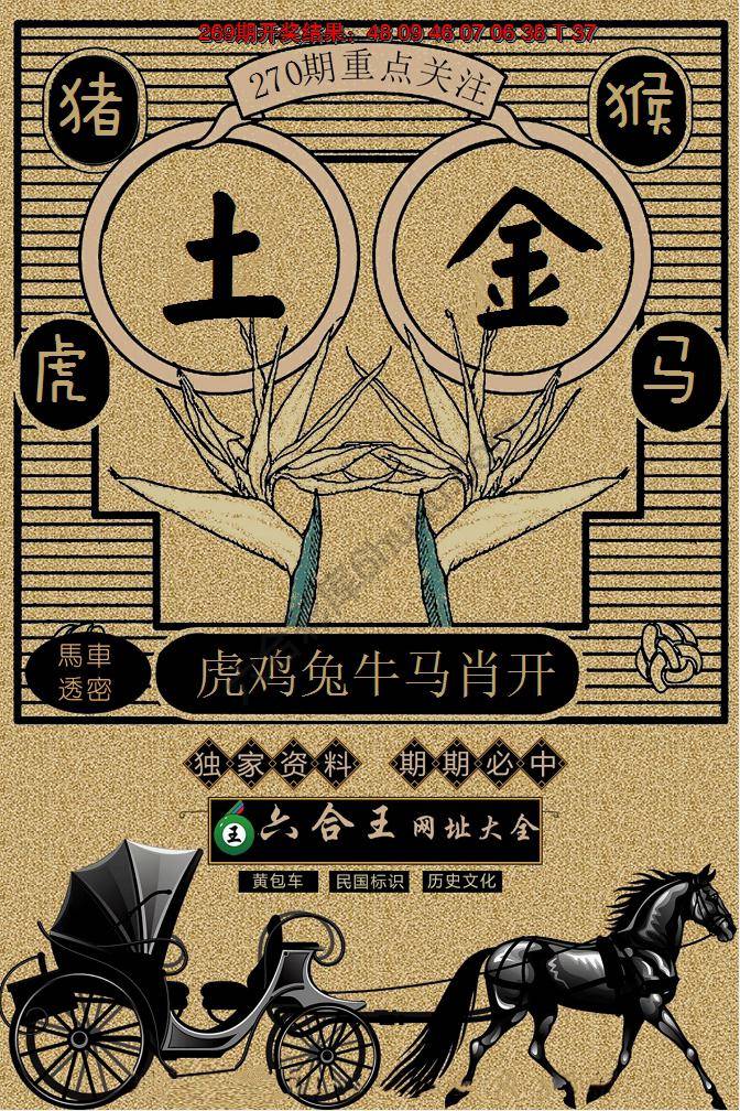 六合王马车透密