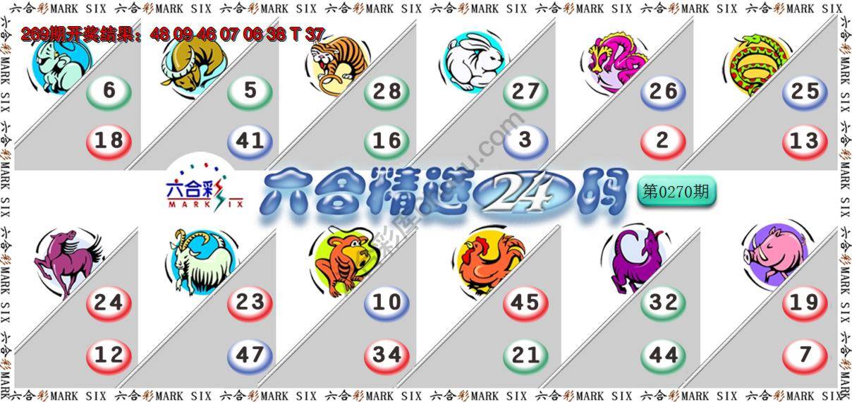 六合精选24码