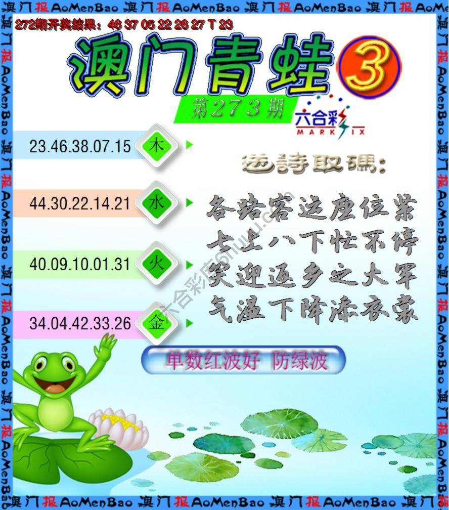 青蛙系列3