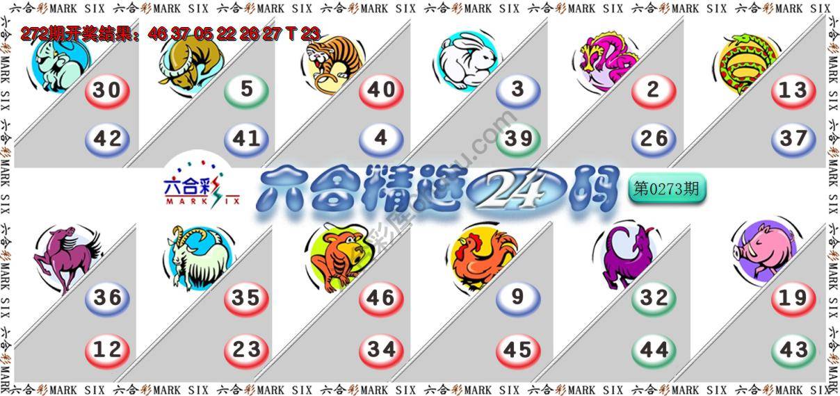 六合精选24码