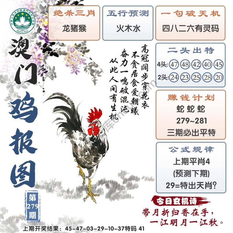 澳门鸡报图