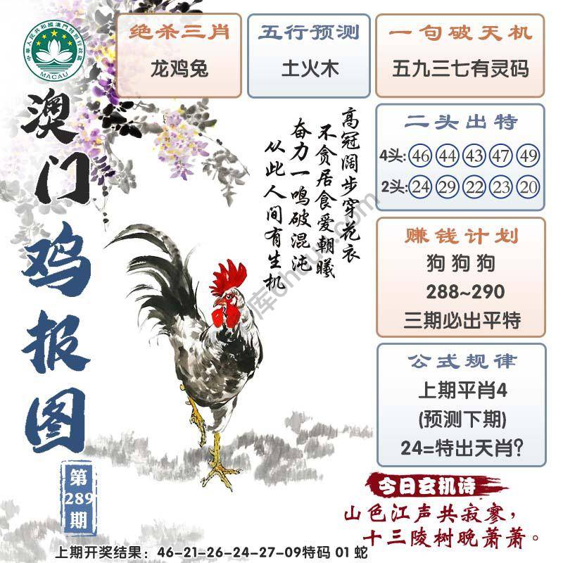 澳门鸡报图