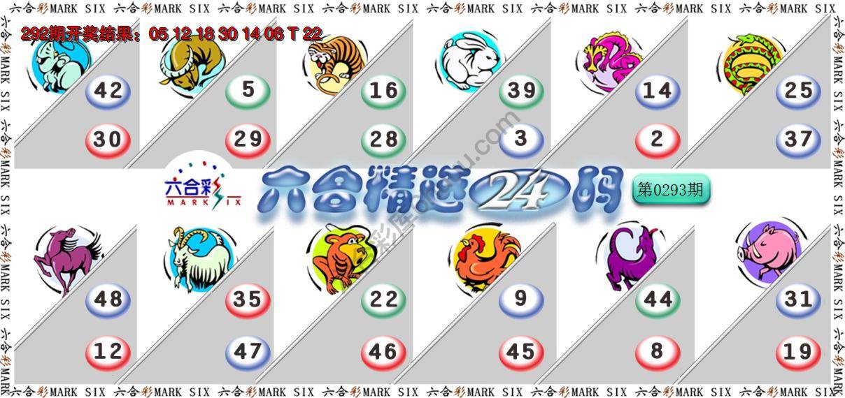 六合精选24码