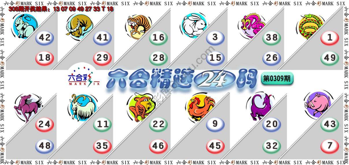 六合精选24码