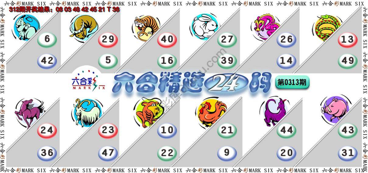 六合精选24码