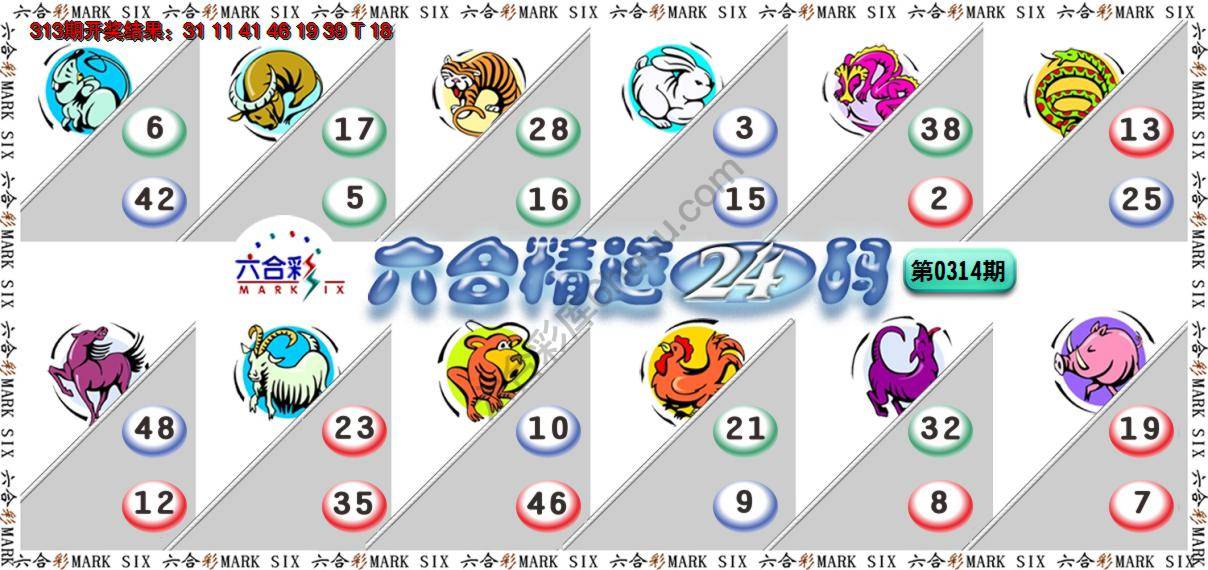 六合精选24码