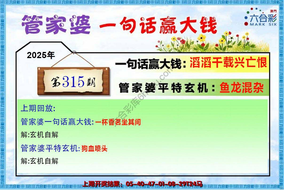 管家婆一句赢大钱