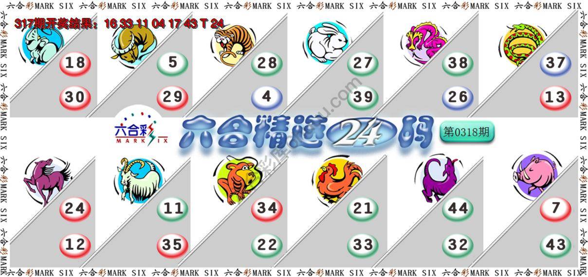 六合精选24码