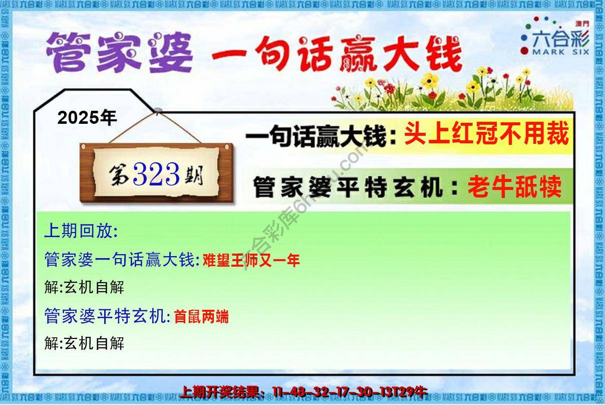 管家婆一句赢大钱