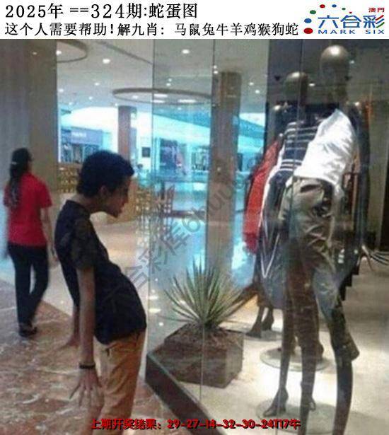 正版蛇蛋图