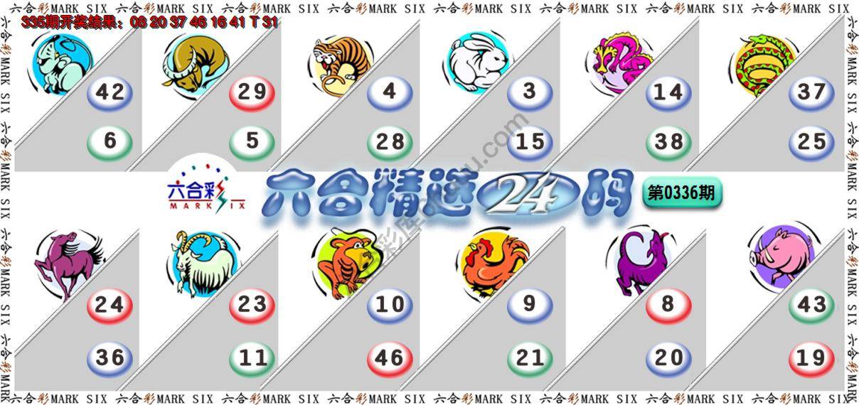 六合精选24码
