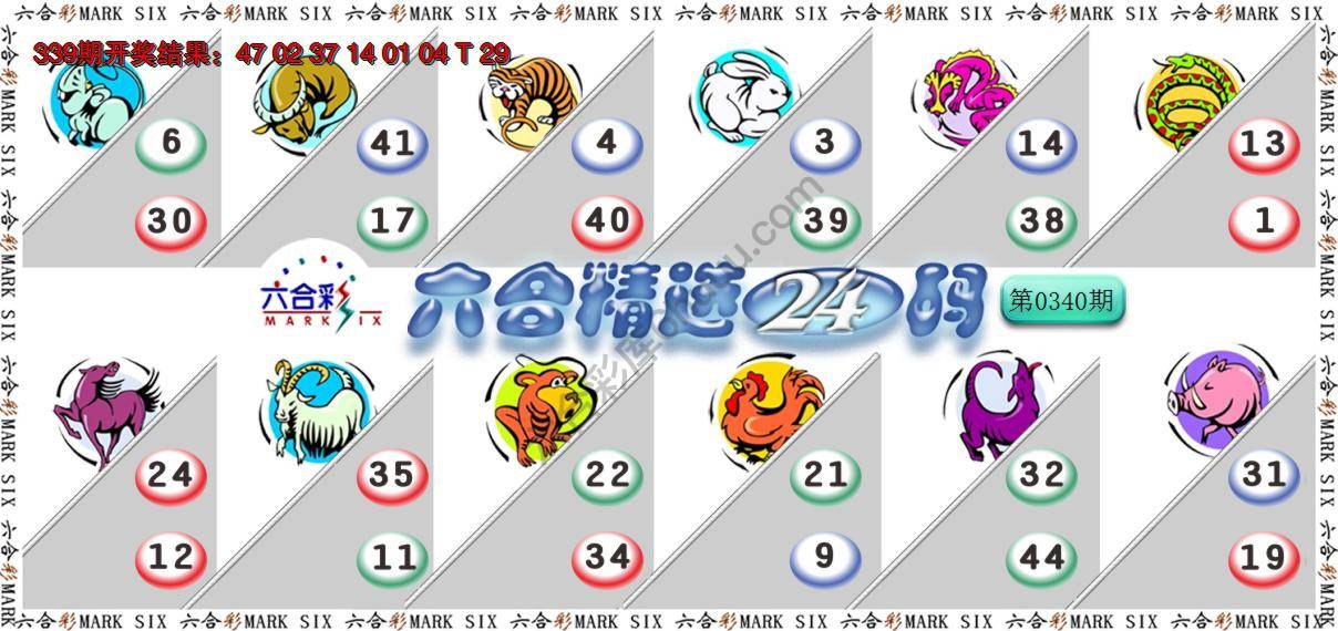 六合精选24码