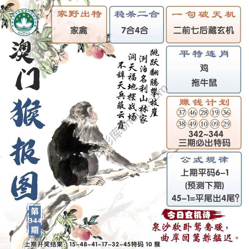 澳门猴报图