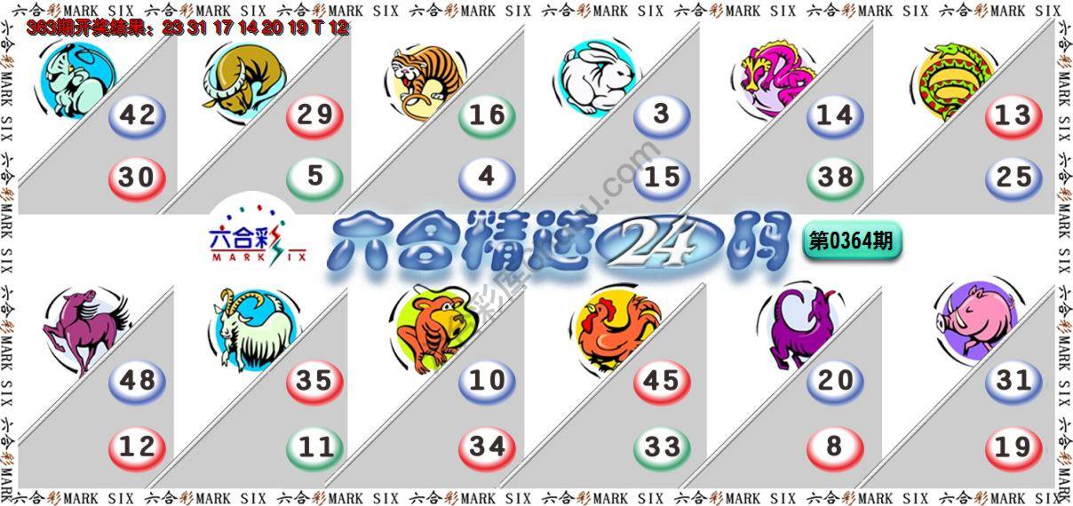 六合精选24码