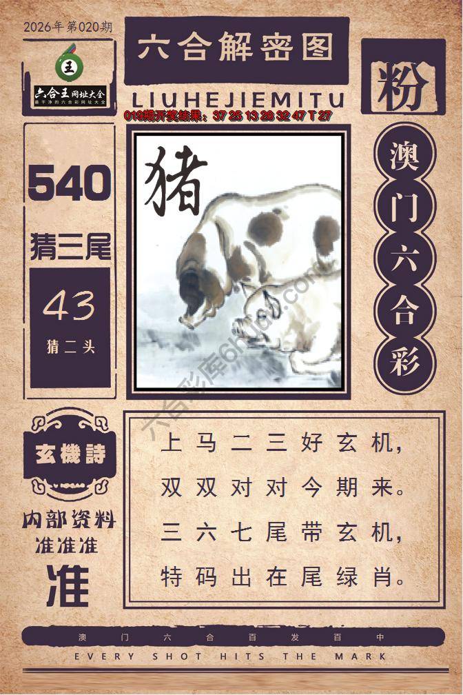 六合王六合解密