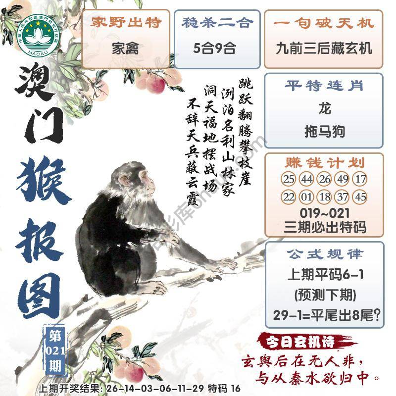 澳门猴报图