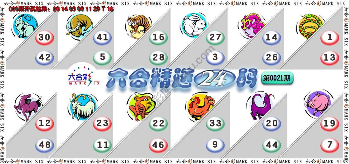 六合精选24码