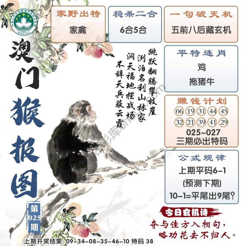澳门猴报图