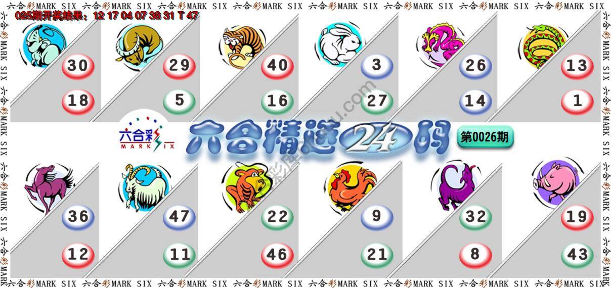 六合精选24码