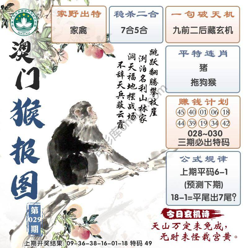 澳门猴报图