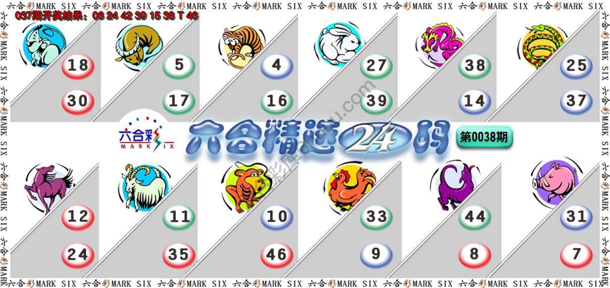 六合精选24码