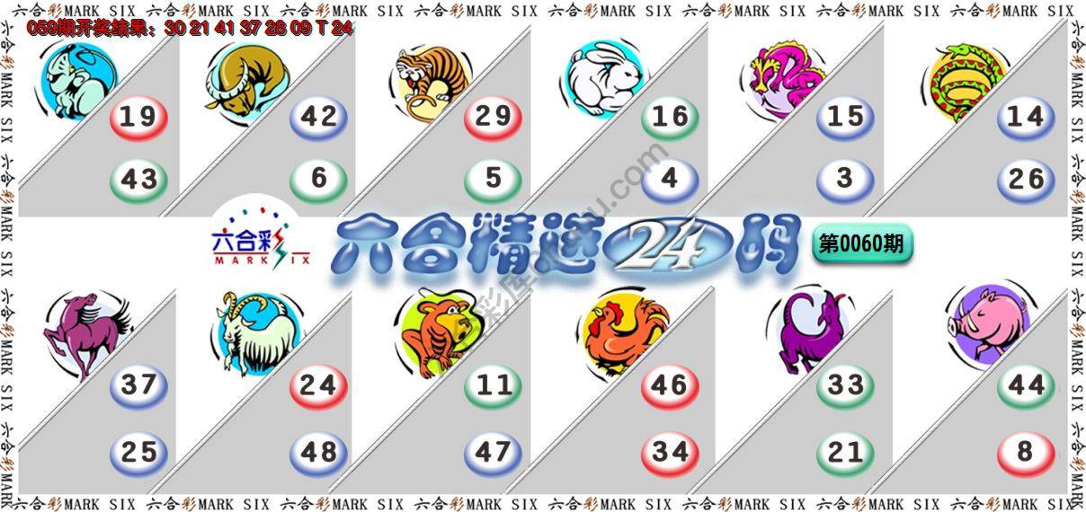 六合精选24码
