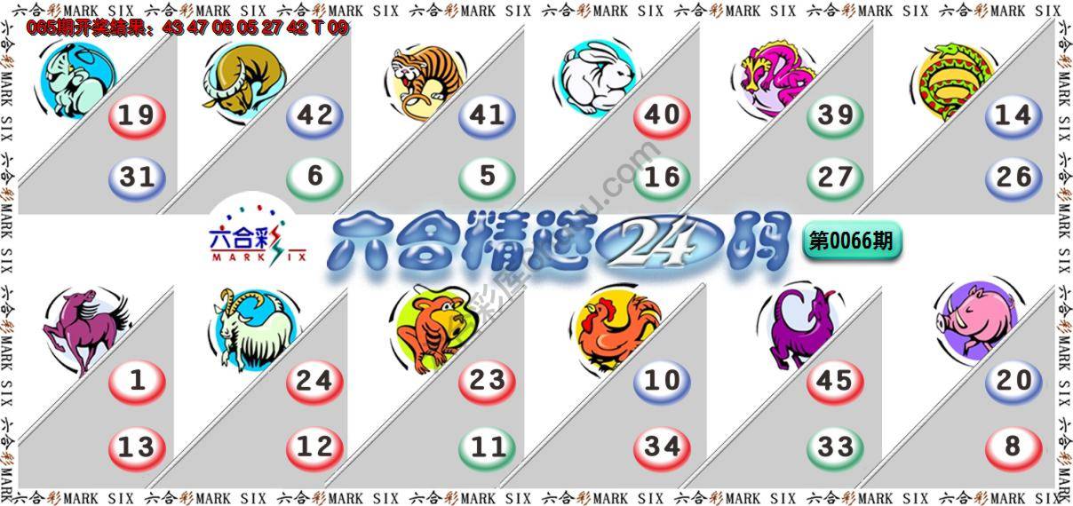 六合精选24码