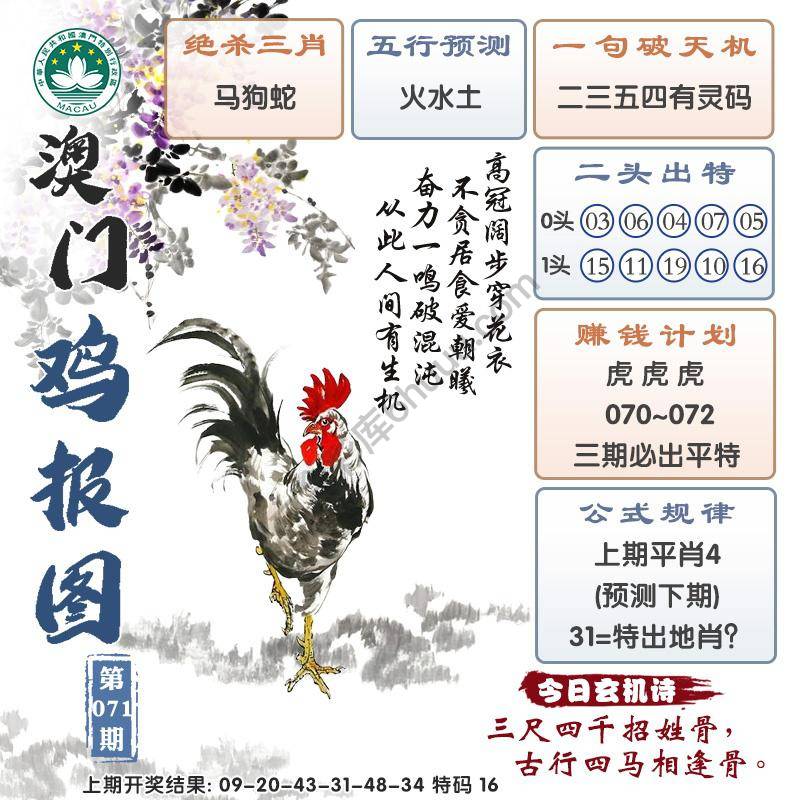 澳门鸡报图