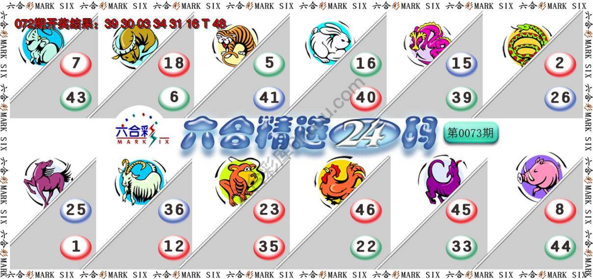 六合精选24码