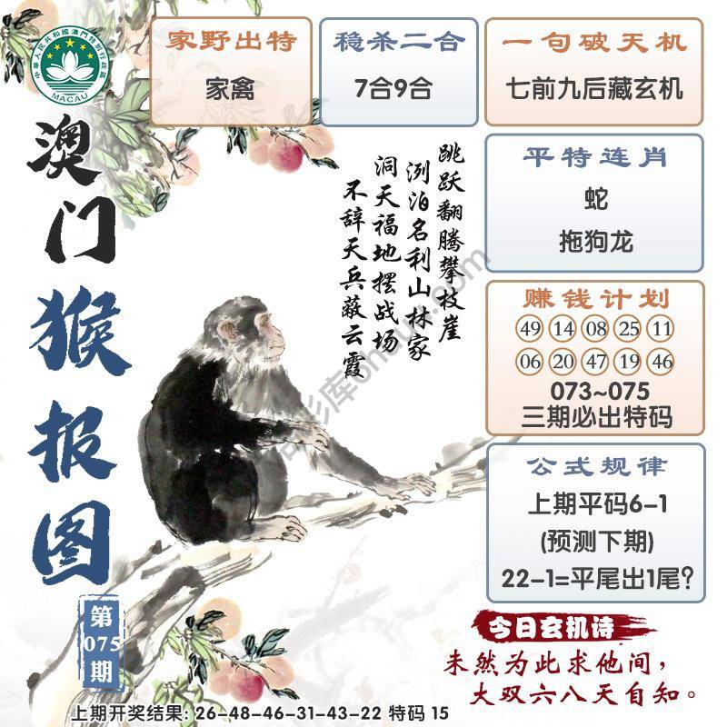澳门猴报图