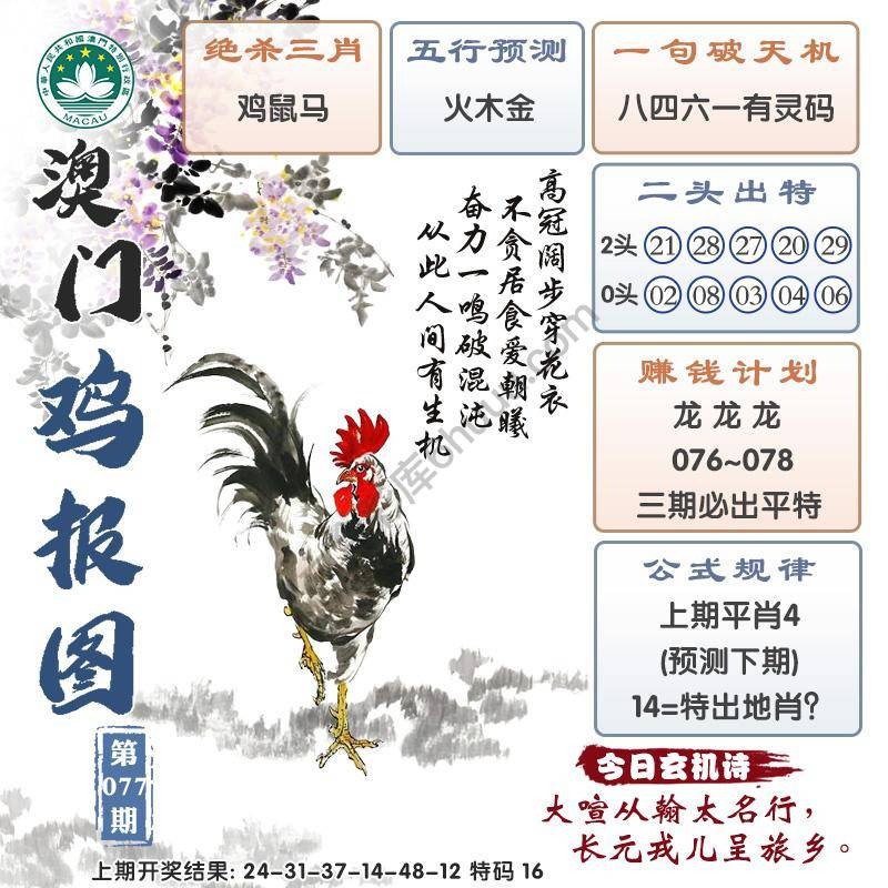 澳门鸡报图