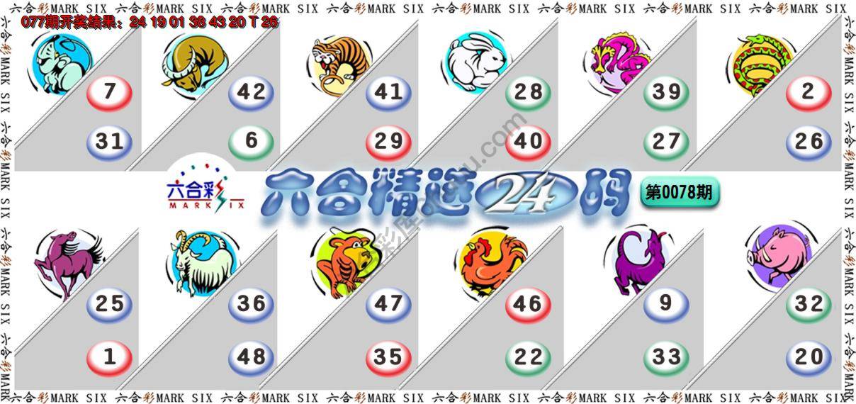 六合精选24码