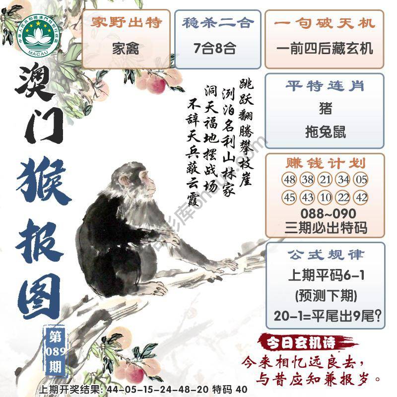 澳门猴报图