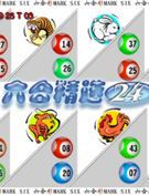 六合精选24码