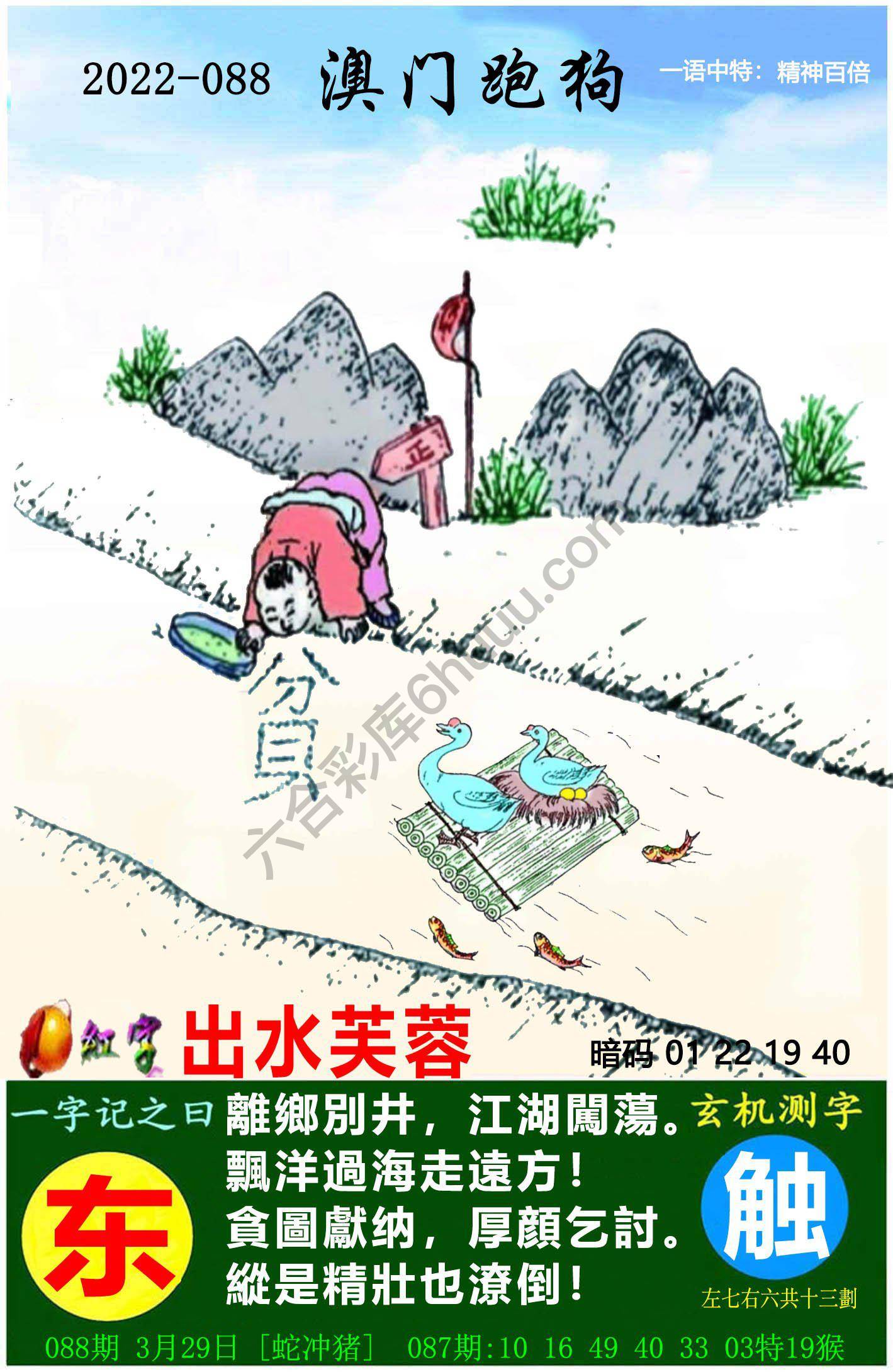 澳门跑狗图