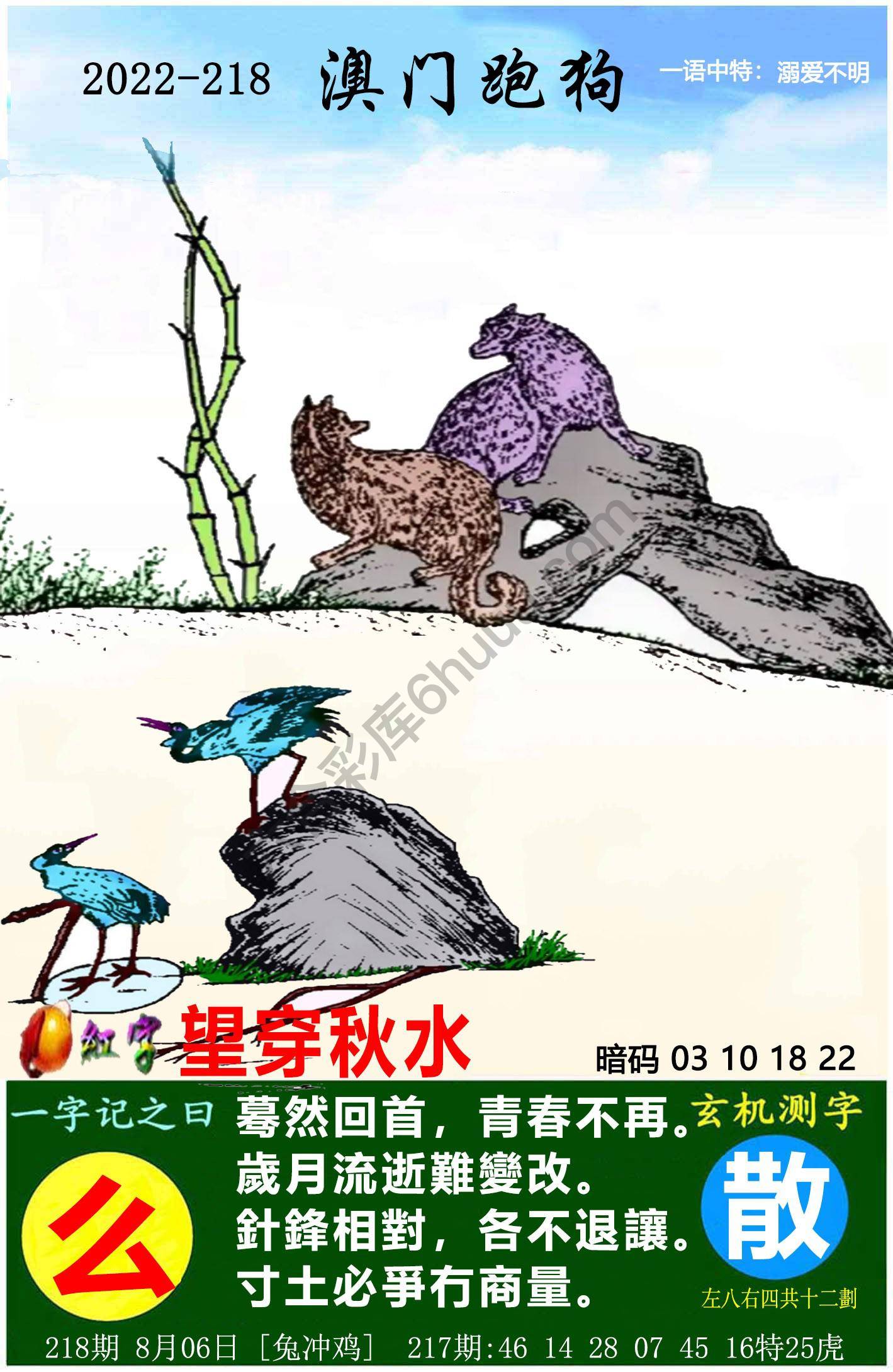 澳门跑狗图